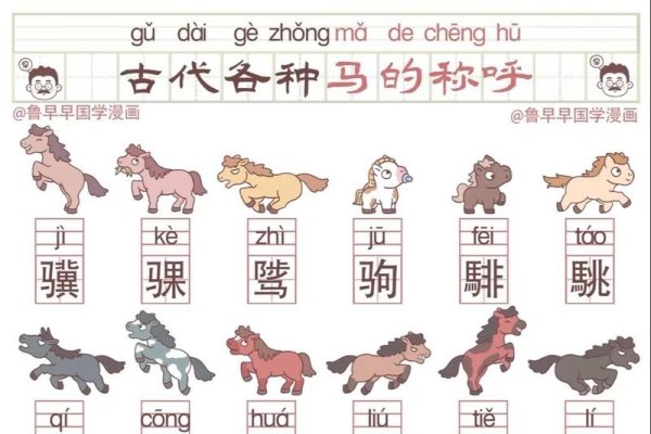 鞍前马后所指的生肖是马-新乐天