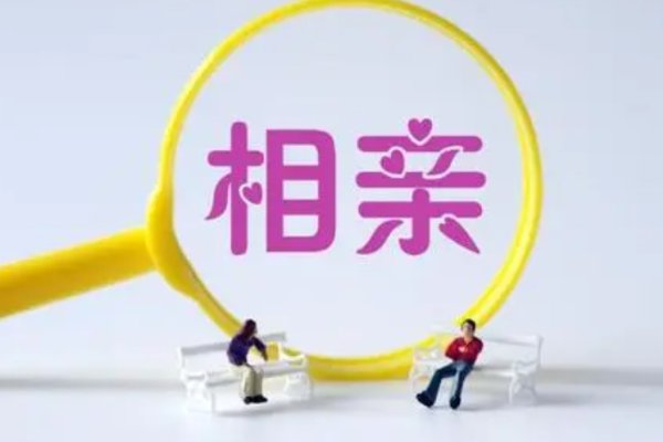 相亲2高清版，开启优质关系的第一步-新乐天