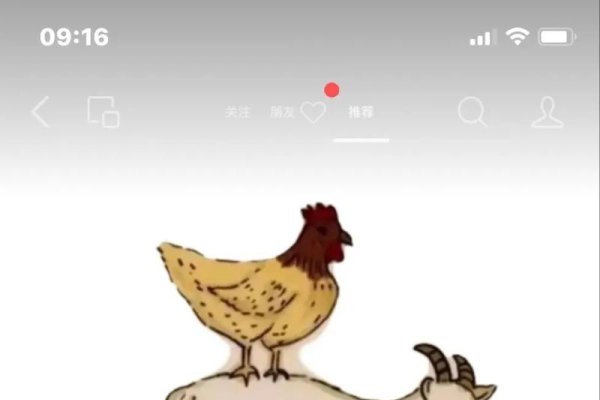 喜气洋洋，谜底生肖羊/鸡-新乐天