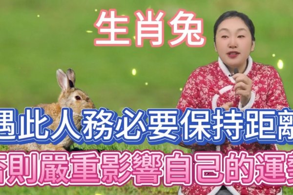 隔墙有耳的生肖，兔的智慧与隐秘-新乐天