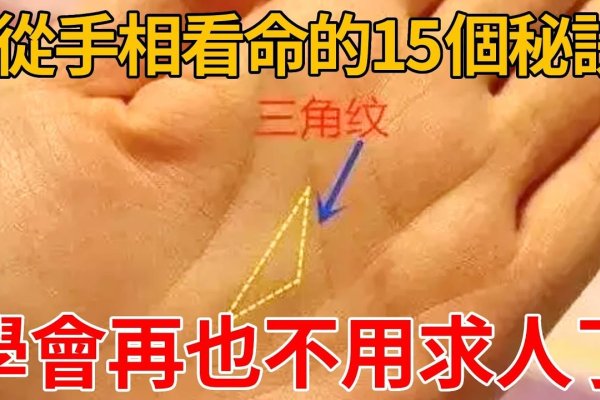 男人看手相算命图解，揭示手中的命运密码-新乐天