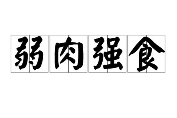 弱肉强食的生肖-新乐天