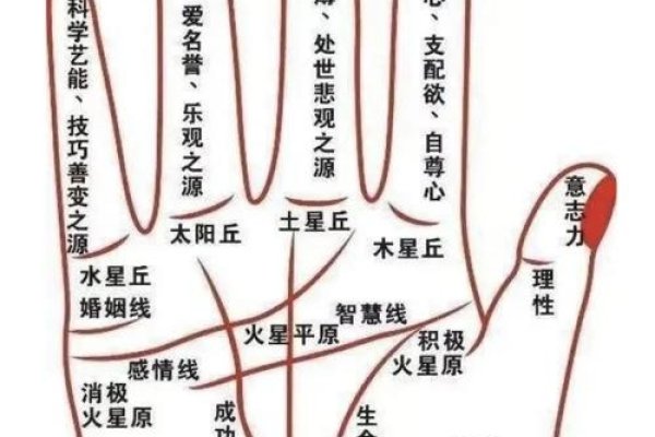 男人手相算命图解，解读命运之谜-新乐天