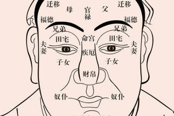男人额头面相，揭示性格与命运的秘密-新乐天
