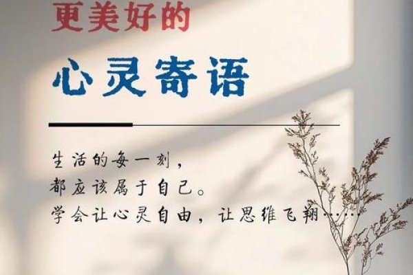 润人，一种超越言语的情感共鸣与心灵滋养-新乐天