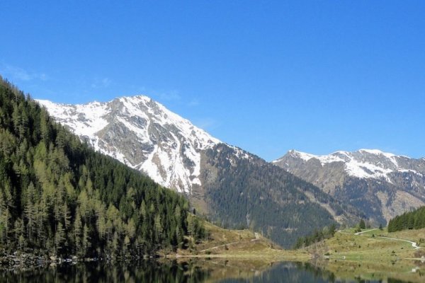 辰时出生的人，晨光中的独特韵味-新乐天