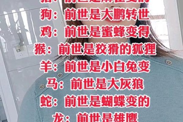 测试你前世是什么-新乐天