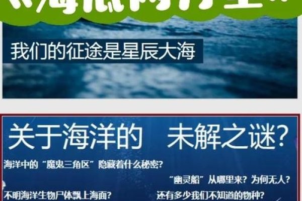 峰生水起精读班，解锁知识海洋的密钥-新乐天