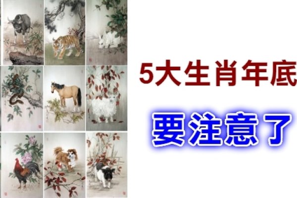 锦上添花之生肖解析-新乐天