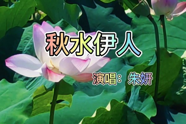 秋水伊人与生肖之谜-新乐天