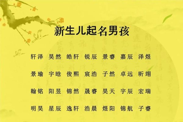 谢氏男宝起名大全，寓意智慧与前程的精选名字-新乐天