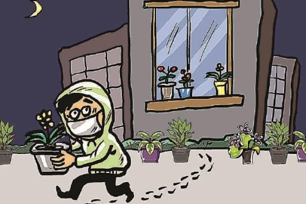 顺手牵羊偷东西与生肖的关联探讨-新乐天