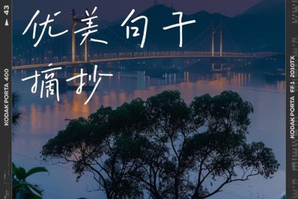 心善之美，青春常驻-新乐天