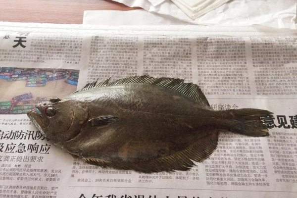 秀水之秘，探寻鱼虾共舞的生肖之谜-新乐天