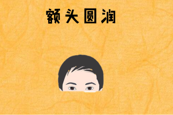 额头高女性，事业兴旺，智慧与财富的象征-新乐天