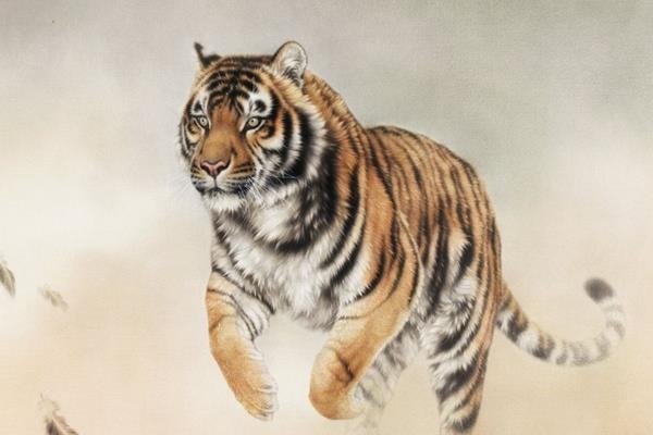 顶天立地猜一生肖—探寻生肖之虎的独特魅力-新乐天