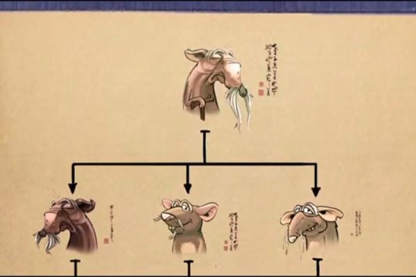 抛头露面背后的生肖传奇-新乐天