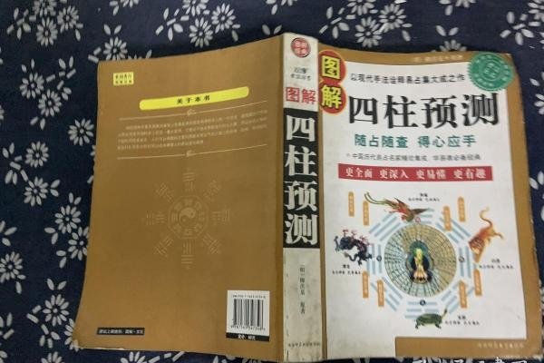 邵伟华的免费四柱预测，探索命运之谜-新乐天