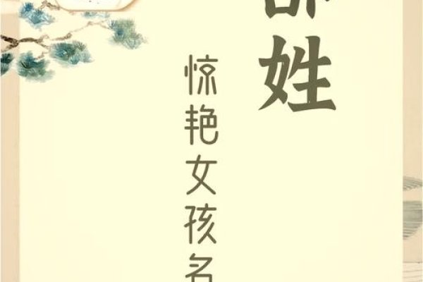 邵伟华免费起名，开启个性姓名宝库的奇妙之旅-新乐天