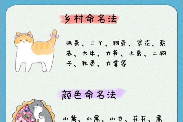 宠物名字大全，创意与个性的完美融合-新乐天