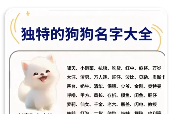 宠物狗取名字的艺术与创意-新乐天