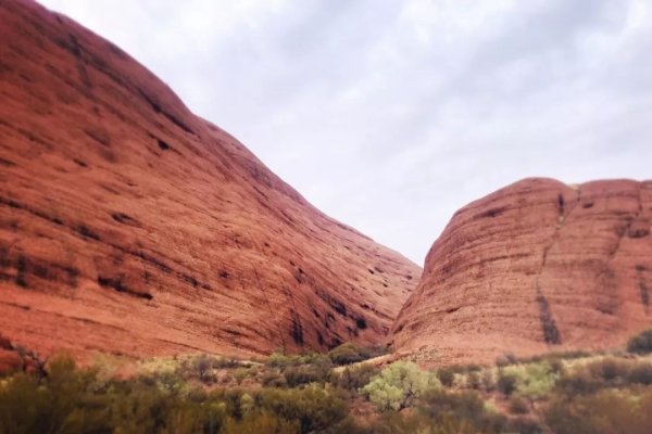 玖玖爱精品视频，探索这片神秘土地-新乐天