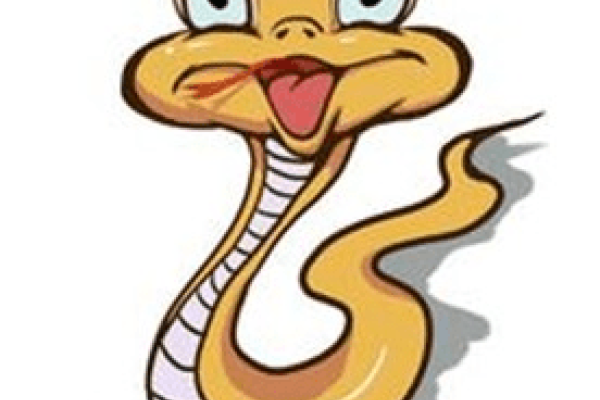 揭秘变化无常的生肖-新乐天