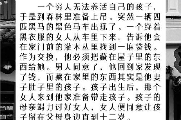 揭秘伯纳德特，一位传奇女性的故事-新乐天