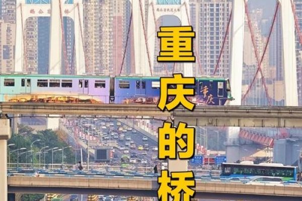 探索重庆交友网站，连接山城情缘的新桥梁-新乐天