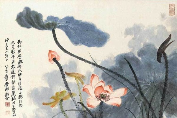 芙蓉出水与生肖之谜-新乐天