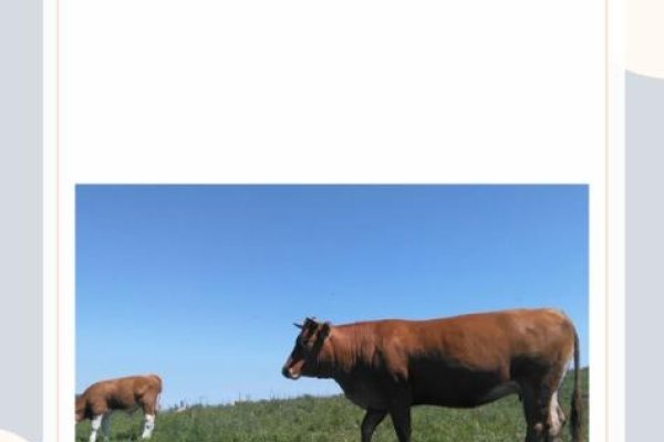 贪婪成性，揭示准确生肖的警示-新乐天