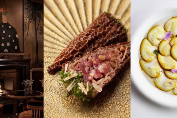 探寻餐厅宝藏名篇，打造独特餐厅体验-新乐天