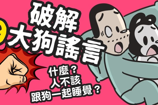 苟延残喘猜生肖主流答案是狗-新乐天