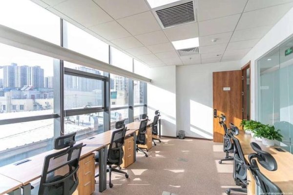 属猪的办公室风水布局指南-新乐天