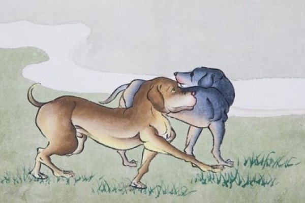 属狗的出生年份与生肖文化解析-新乐天