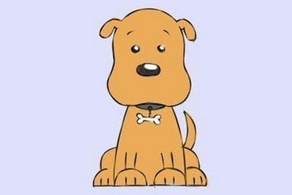 属猪的今年多大年纪？-新乐天