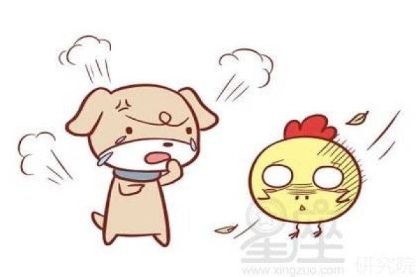 属狗的人今年多大？年龄解析与性格特征-新乐天