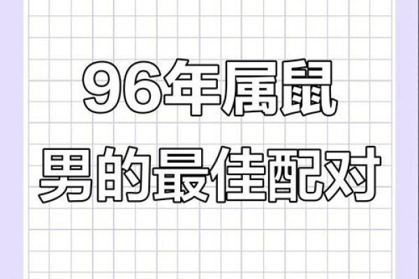 属鼠的人与哪些属相最为相配-新乐天