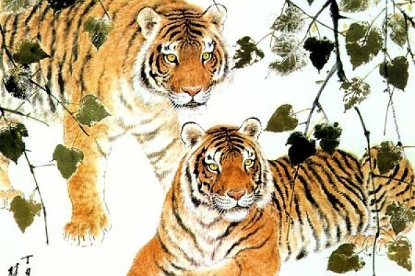 属猪的人2013年运程概览-新乐天