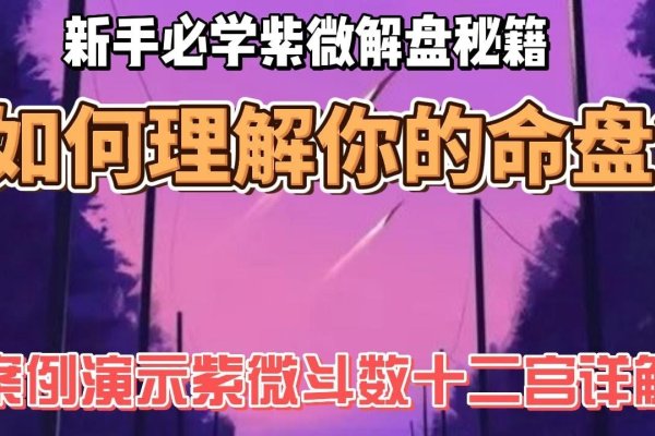 紫微斗数排盘，揭秘个人命运蓝图-新乐天