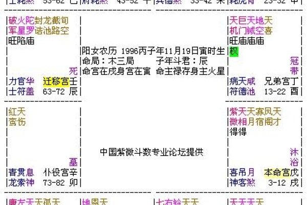 紫微斗数排盘，解锁命运密码的古老艺术-新乐天