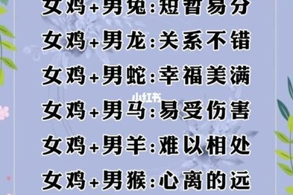 属鸡的属相婚配表，解读生肖与婚姻的关系-新乐天