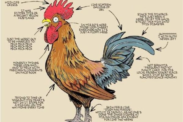 雄鸡断尾生肖揭秘-新乐天