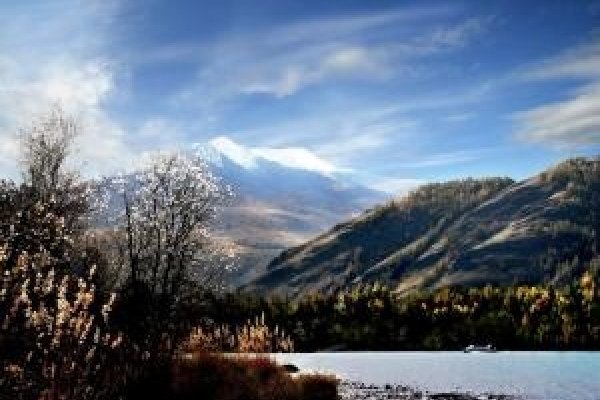 秋霜冬雪生肖探秘-新乐天