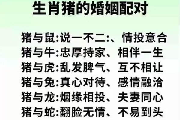 属猪的与哪些属相最为相配-新乐天