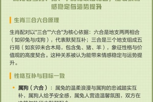 属兔的最佳配对属相探讨-新乐天
