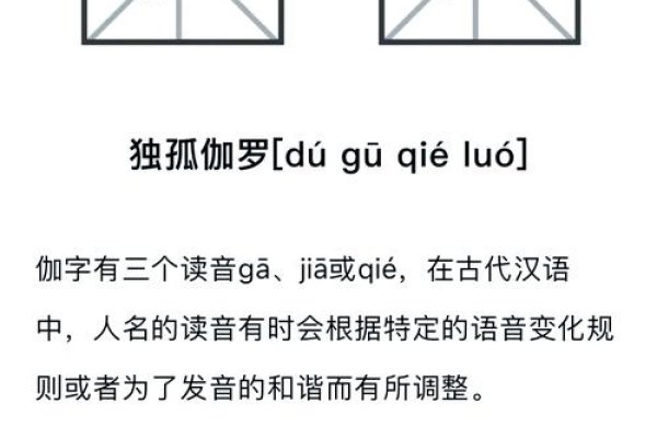 伽罗的正确读音及文化解析-新乐天