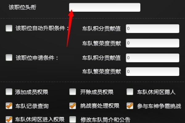 QQ飞车车队头衔的背后意义与价值-新乐天