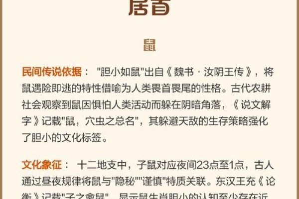 胆小过街打一生肖—胆小谨慎的生肖鼠-新乐天
