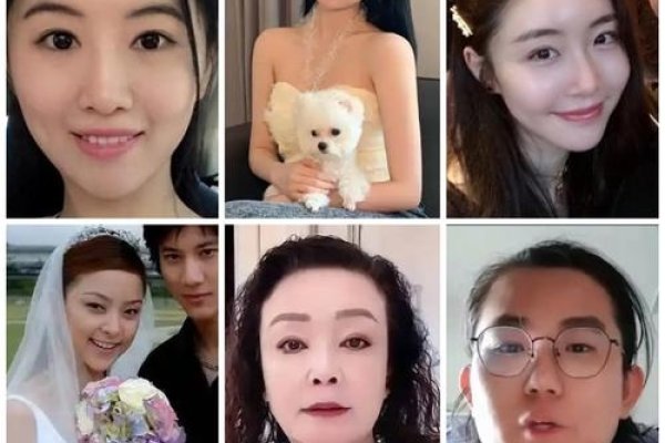 姐妹花生肖揭秘-新乐天